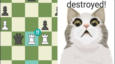 Destroying scaredy cat bot. (chess)