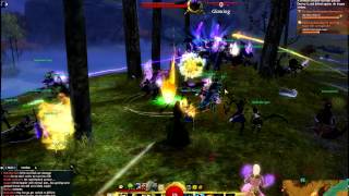 Guild Wars 2 BWE 2 End of Beta Event 2 (Killing a Champion Branded Devourer)