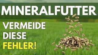 Mineralfutter: Diese 3 Fehler ruinieren die Gesundheit deines Pferdes!
