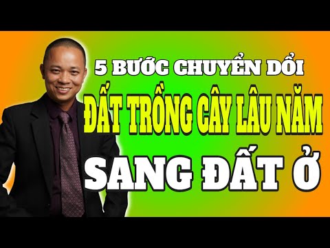 Video: Cây Lâu Năm Cho Người Mới Bắt đầu