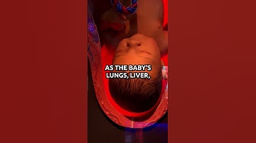 Fearfully and Wonderfully Made