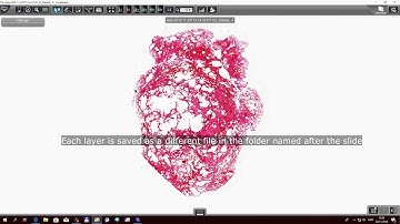 3DHISTECH - Pannoramic Scanner Software 2.0.5 Tutorial - Z-Stack Flash scanning mode