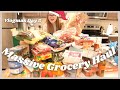 Trader Joes &amp; Walmart Grocery Haul | Vlogmas Day 5