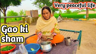 Gao ki Sham Village evening | Pakistani village life style vlogs | Tahira vlogs |