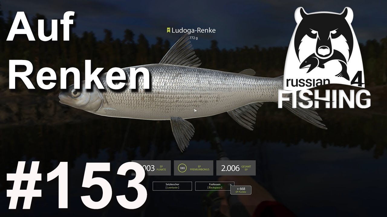 How Much Is The Fish Auf Deutsch
