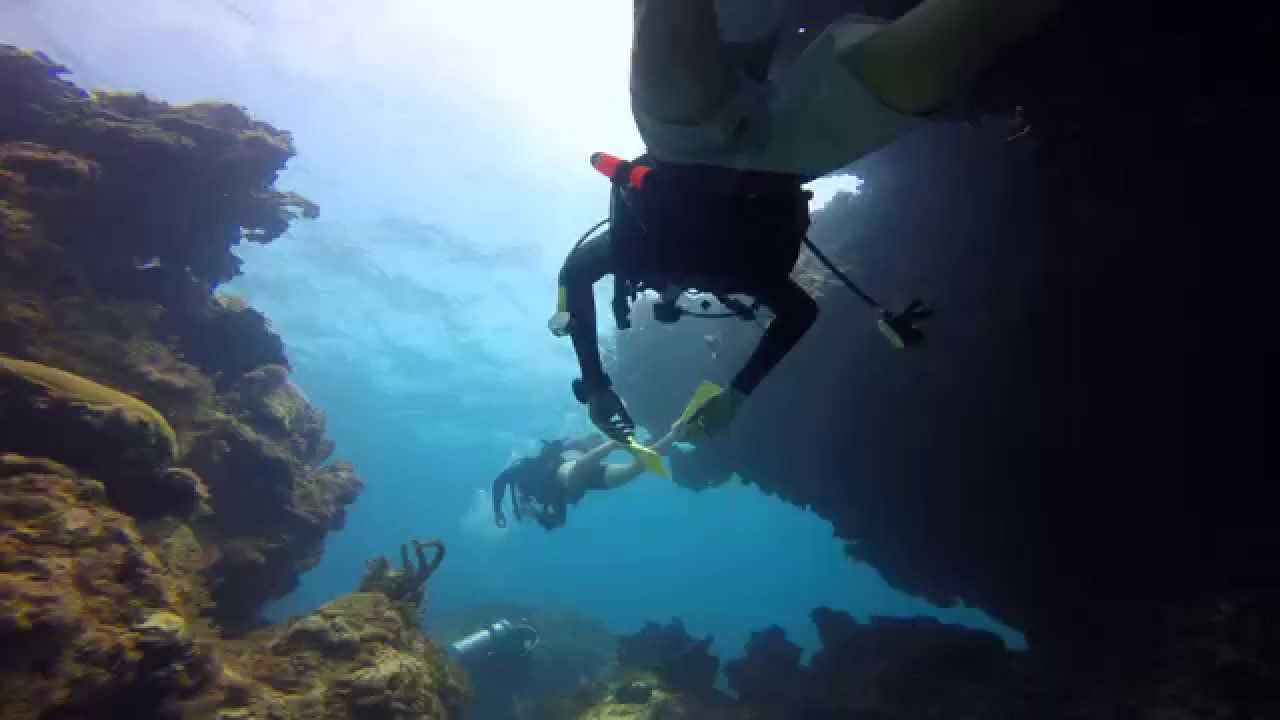 Scuba Diving Punta Cana Colosseum Dive Shot 100 on GoPro 4