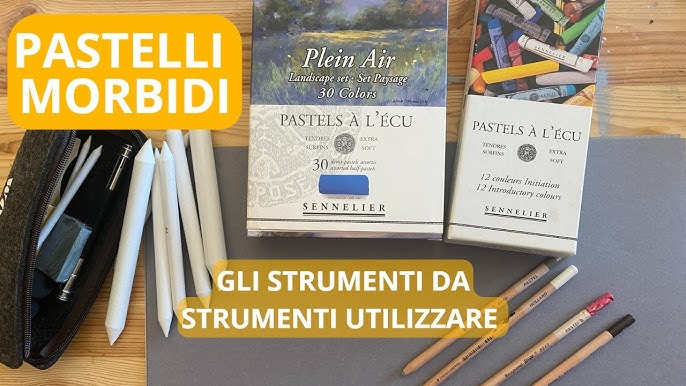 Pastelli Morbidi Gesso: le tonalità Vibranti Migliori Sul Mercato Colori a  Gesso Convenienti Set in Scatola Pastelli Compatti di Rapido Utilizzo :  : Casa e cucina