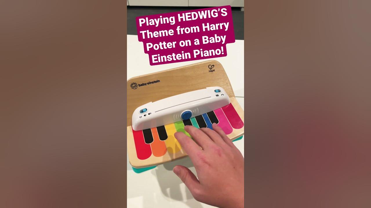 HEDWIG'S Theme from Harry Potter on a Baby Einstein Piano! 