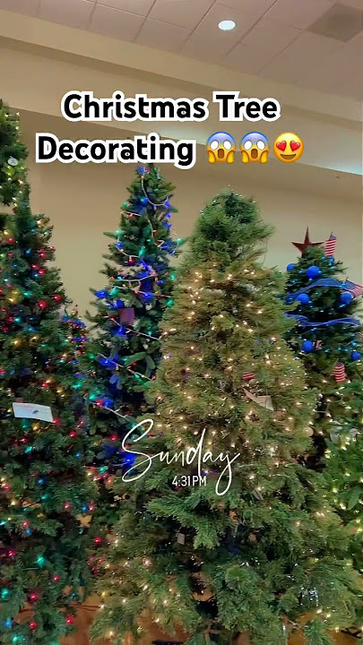 Look At All The Christmas Trees 🎄 😍 #christmas #omg #wow #holiday #trending #viralshorts #tree#fyp