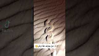 What is this من يعرف ماهذا الشئ ؟؟