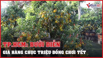 TP.HCM: Bưởi Diễn giá hàng chục triệu đồng vàng rực cả tuyến đường | Vietnamnet