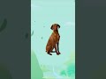 Brown Colour for Kids ❤️ |  Cartoys| Shorts5#kidseducatio