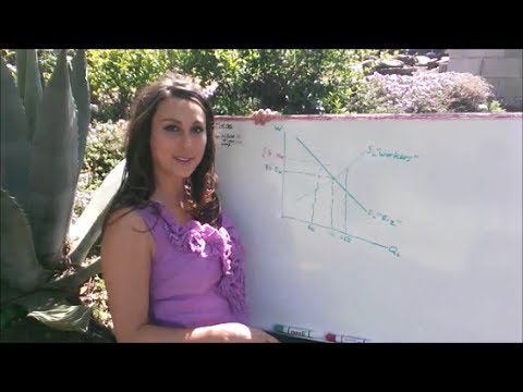 Effects Of A Minimum Wage Increase - YouTube