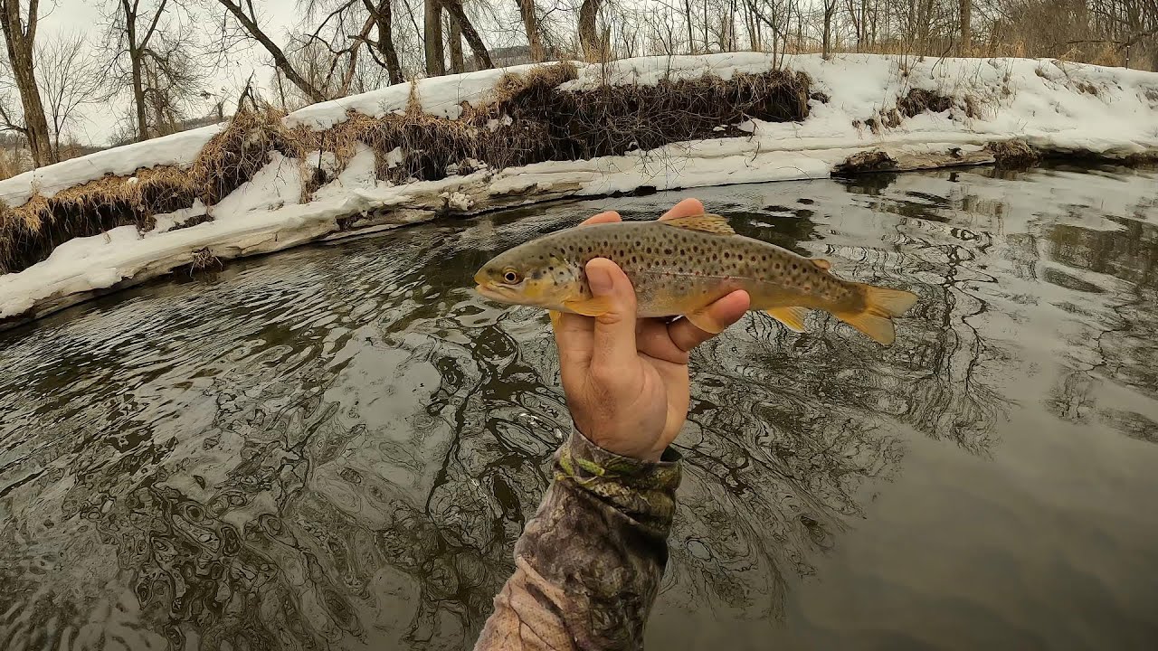 Wisconsin Trout Fishing 3/5/2023 YouTube