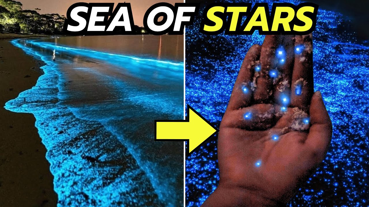 UNREAL PLACES: 20 Natural Wonders You Won't Believe Exist - YouTube