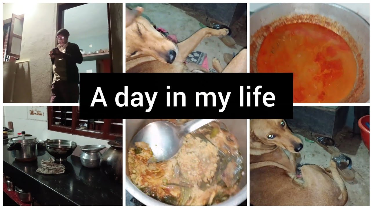 Simple day...simple fun  || fun with sis , work , bike raiding || vlog -56