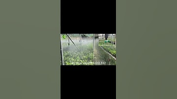 Béc phun sương vườn Lan giống - Béc phun sương 4 hướng - Liên hệ 0961642842