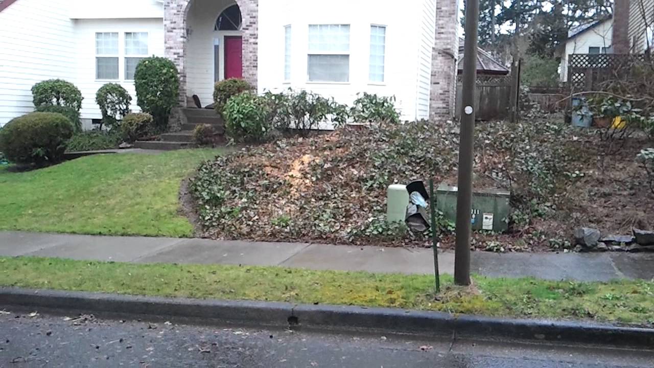 Tualatin landscape ideas to make it look good YouTube