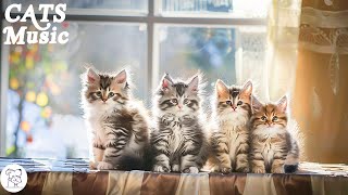 EXTREMELY SOOTHING Music For Cats 🐱Make Your Cat Happy, Deep Relaxation and Sleep With Purring Sound by Peaceful Pet Piano 566 views 3 days ago 8 hours