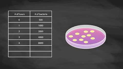Graphing Exponential Functions