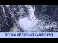 Tropical Storm likely in Indian Ocean - Tropical Weather Bulletin