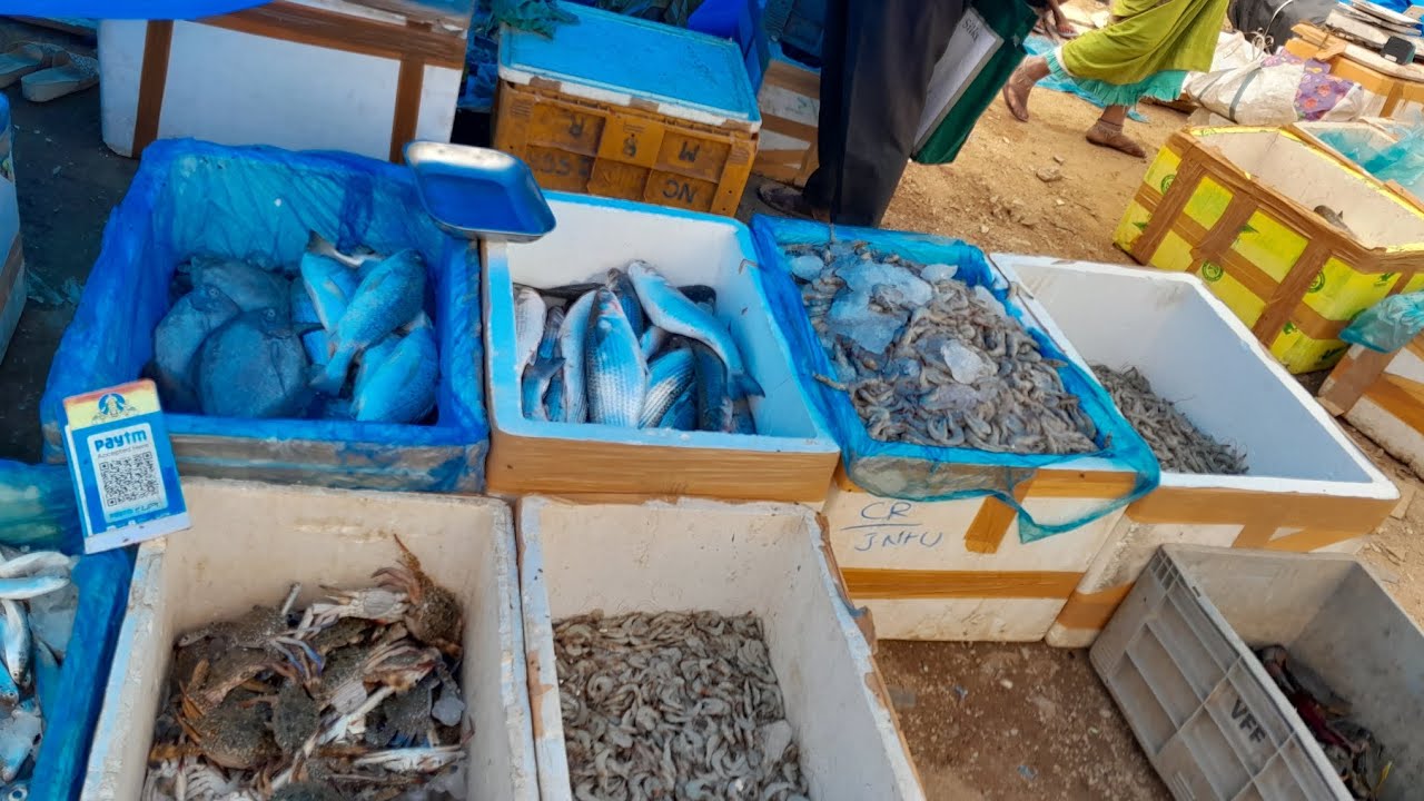 Fish market sea food MIYAPUR YouTube