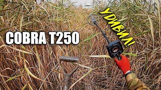 Раскопки на Железном озере с металлодетектором Cobra T250!