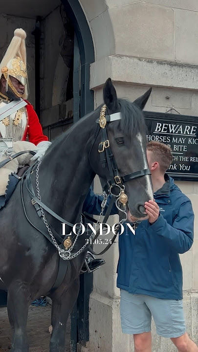 OFF DUTY GUARD VISITS | Horse Guards, Royal guard, Kings Guard, Horse, London, 2024