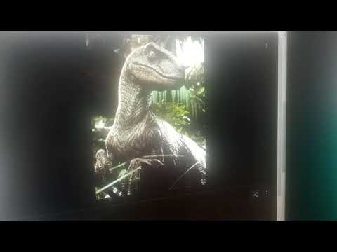 finding nemo brids velociraptor attacks 😢 😞 😕 😪 😔 😫