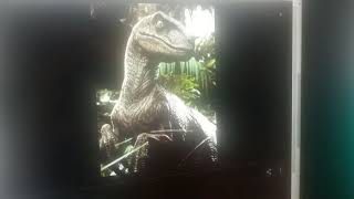 Finding Nemo Brids Velociraptor Attacks