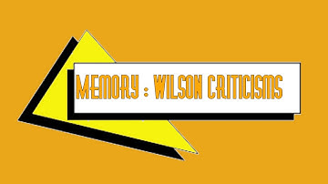 Wilson et al. (2008) Criticisms