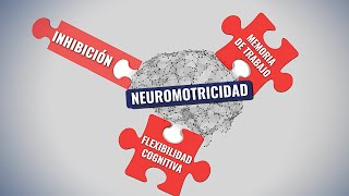 Inhibición, Memoria de trabajo y Flexibilidad cognitiva en la Neuromotricidad