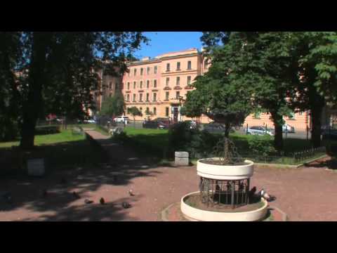 Vídeo: Reunió De L’Ajuntament A Sant Petersburg