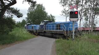 Železniční přejezd Mimoň #6 (CZ) - 4.6.2024 / Railroad crossing