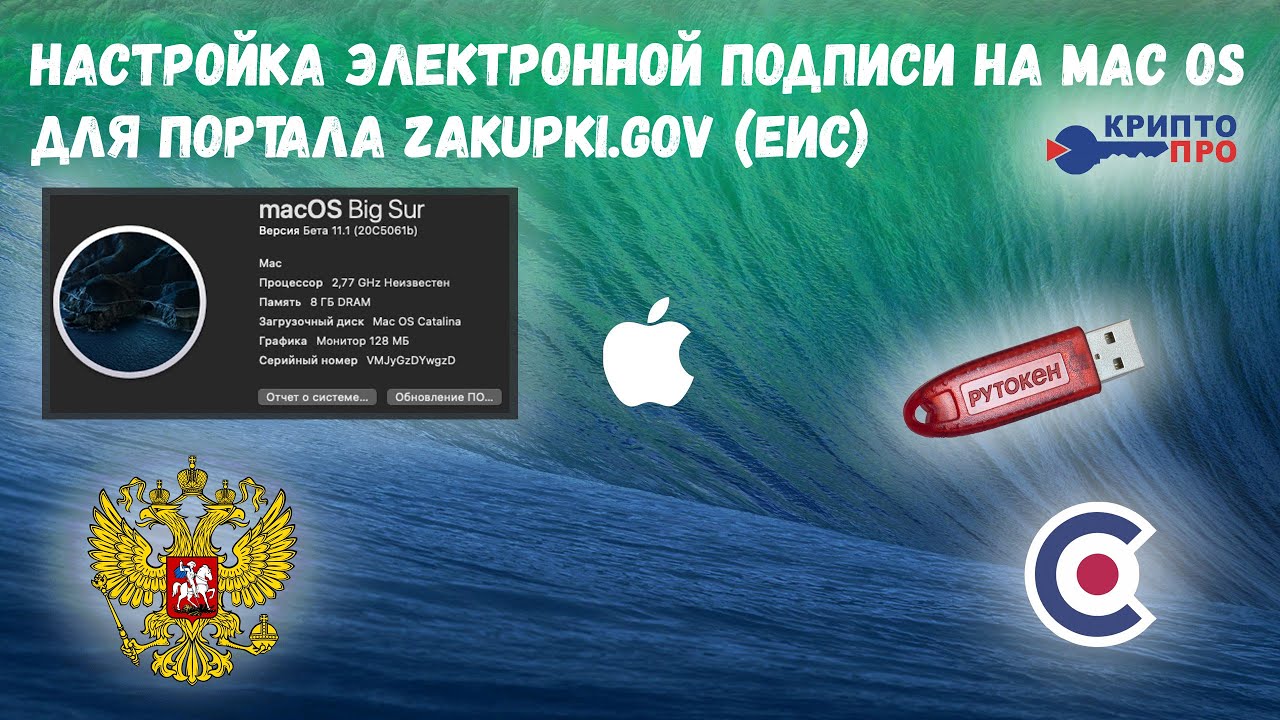 Настройка ЭЦП для zakupki.gov (ЕИС) на Mac OS - YouTube