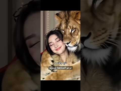 تايا مع الاسد تايا 