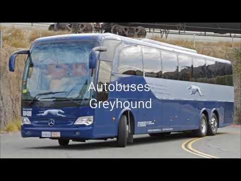 Autobus greyhound playmobil y matchbox custom