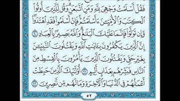 سورة آل عمران   الحزب 6  القارئ صلاح الهاشم