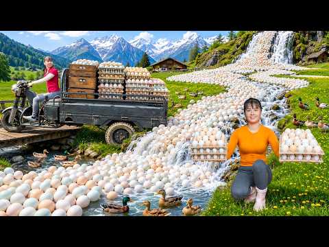 Cascada De Miles De Huevos De Pato | Cosecha Masiva En Motocarro Al Mercado Rural