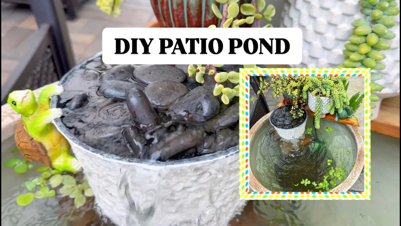 Small Balcony/Patio Pond - How to Build a Small Pond with Fish and Aquatic plants
