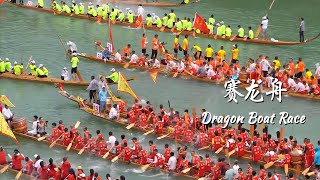 sub我的家乡是中国传统龙舟之乡，端午节来看热闹非凡的龙舟赛