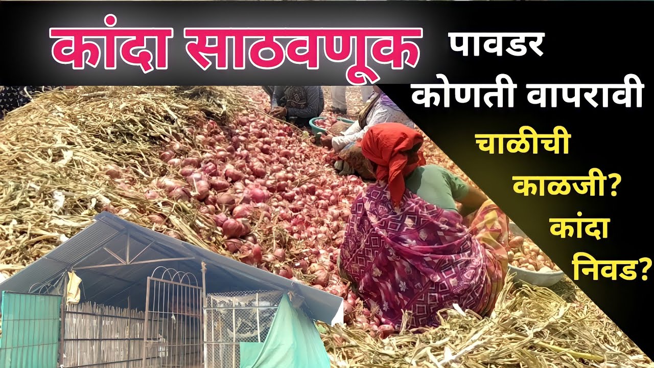 कायदा-सुव्यवस्थेत वरिष्ठ अधिकारी अपुरे : उपमुख्यमंत्री अजित पवार यांची नाराजी