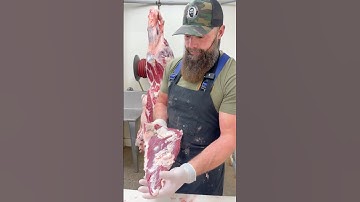 Trimming a Beef Tri-Tip  🔪 #shorts #beef #tritip #bbq