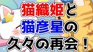 織姫彦星（ネコ）の七夕フリー素材　タイムラプス！