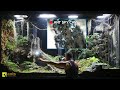 I used an endoscopic camera to peek into an ant nest in my giant ecosystem vivarium