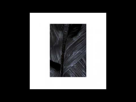 Roman Flügel - How To Spread Lies - Dial054