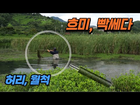 힘들게 만난 허리급, <strong>월척</strong> 붕어들