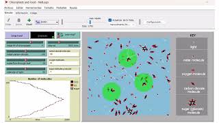 Celebrity Chloroplasts and Food- 2 NetLogo Wealth