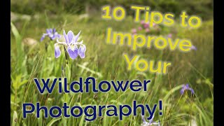 10 TIPS To IMPROVE Wildflower PHOTOGRAPHY!
