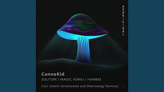 Soliton (Kamilo Sanclemente Remix)